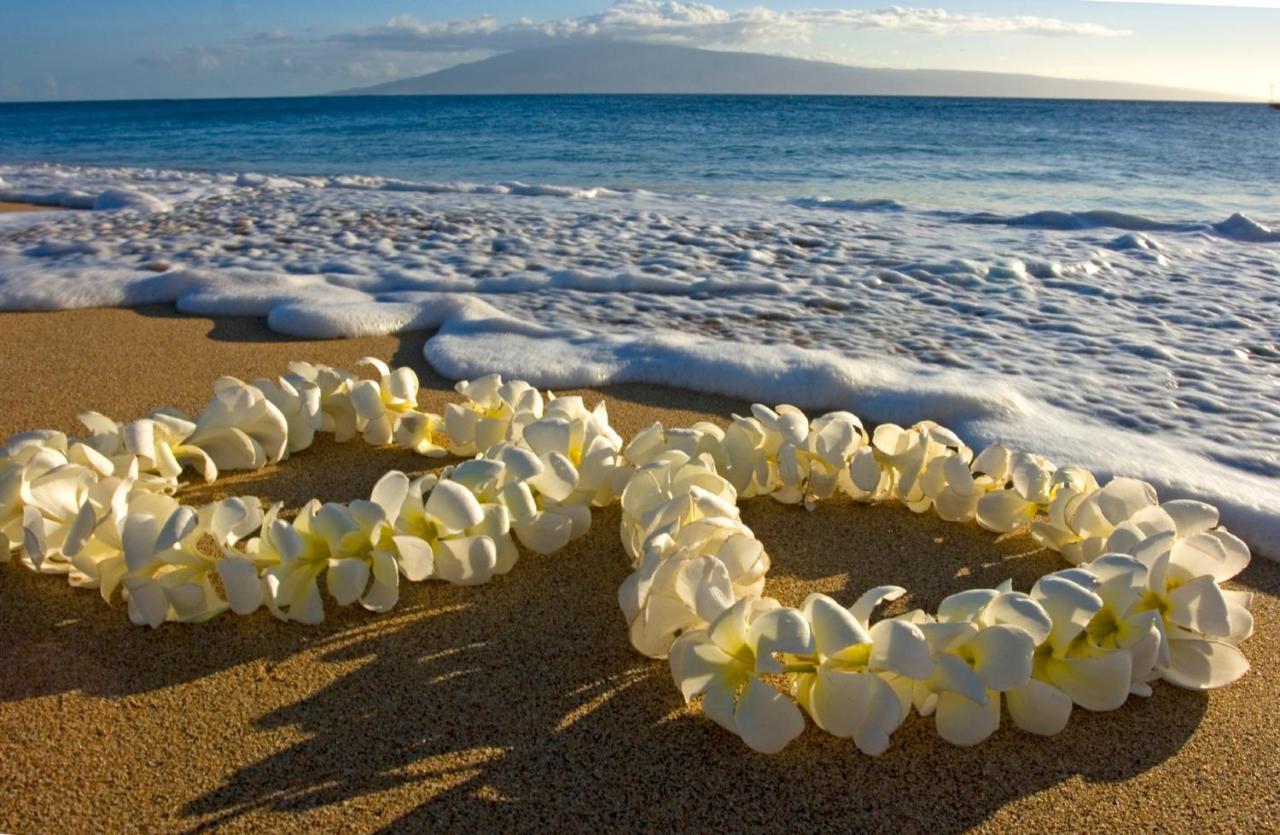 Tropical Bliss, Mountain View Near Waikiki With Free Parking Apartamento Honolulu