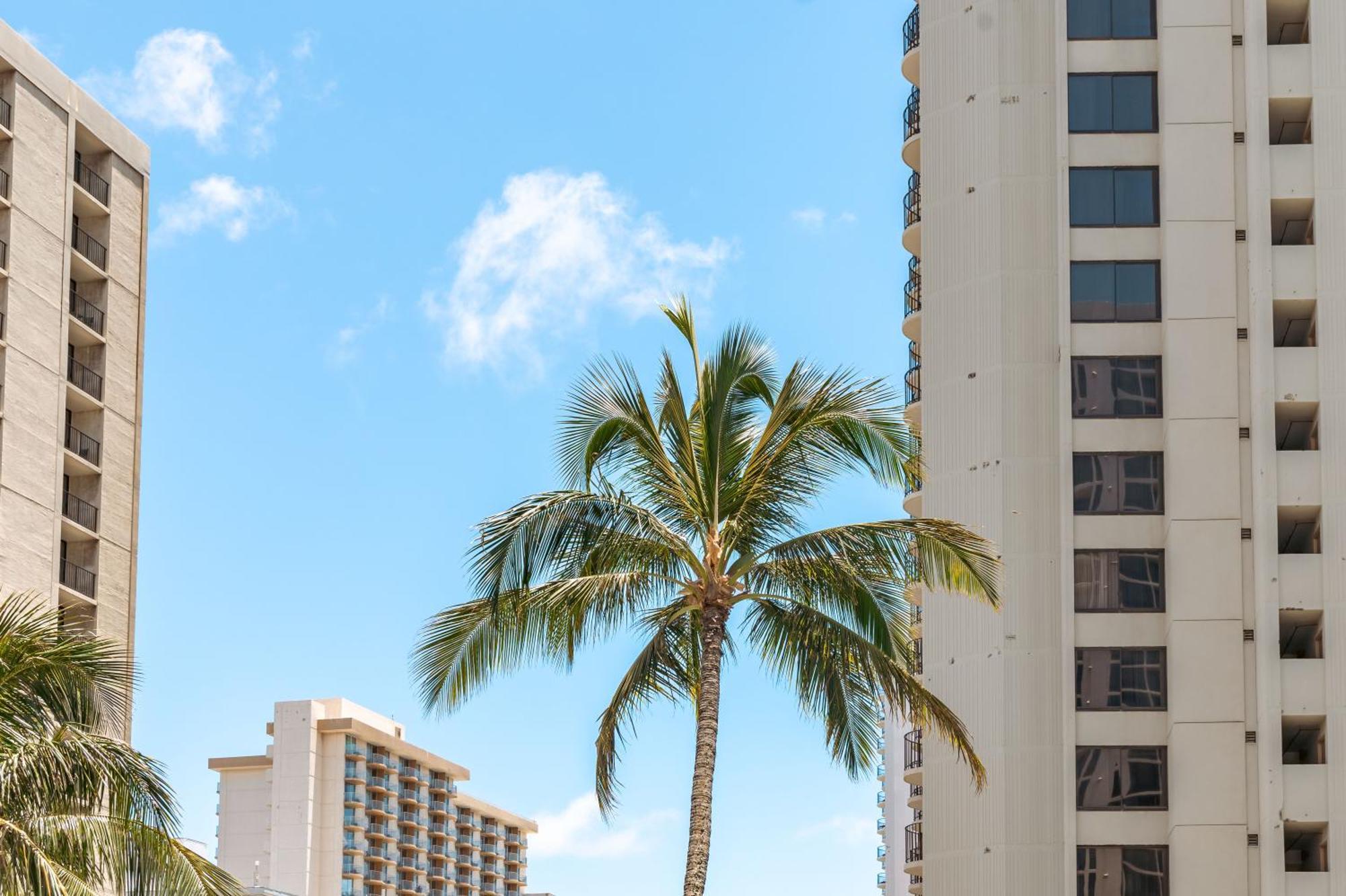 Apartamento Tropical Bliss, Mountain View Near Waikiki With Free Parking